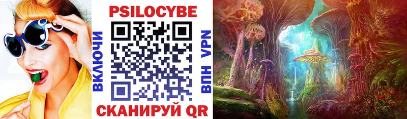 закладка  Солигалич  Галлюциногенные грибы Cubensis 